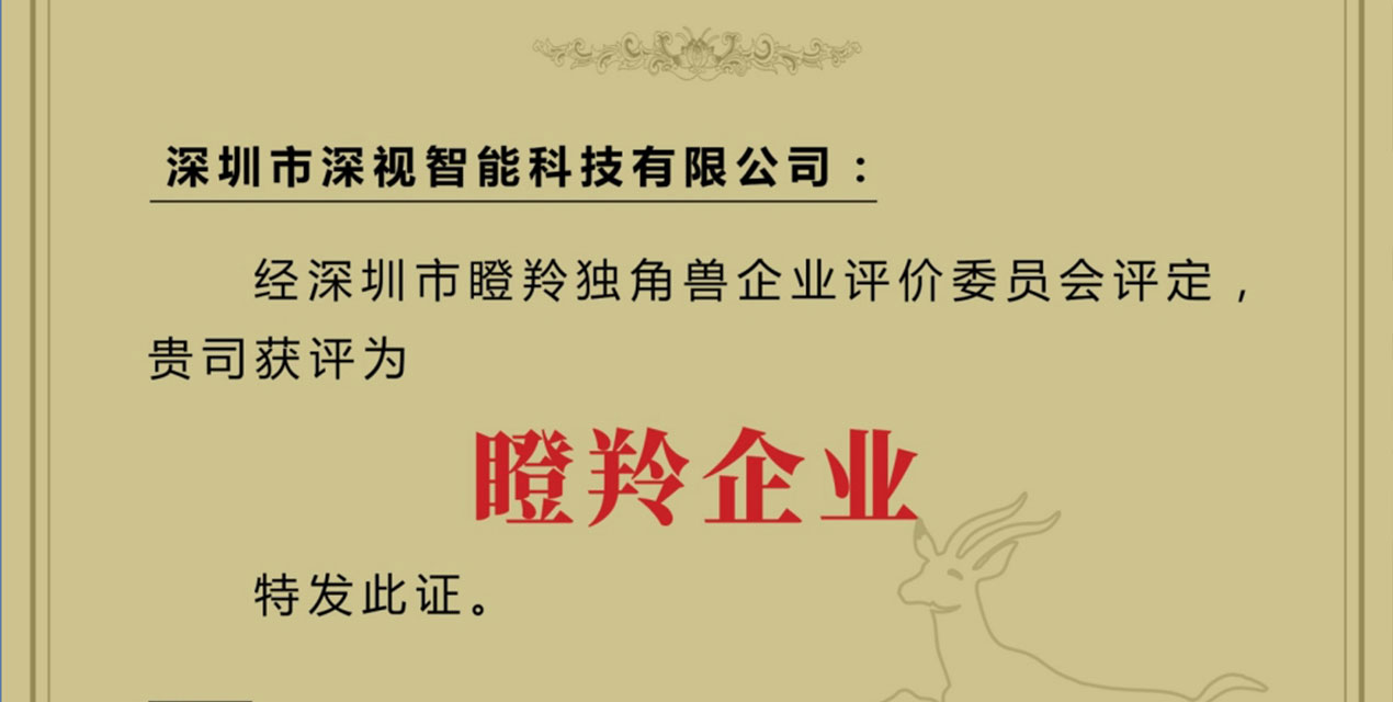 深视智能获评深圳市瞪羚企业