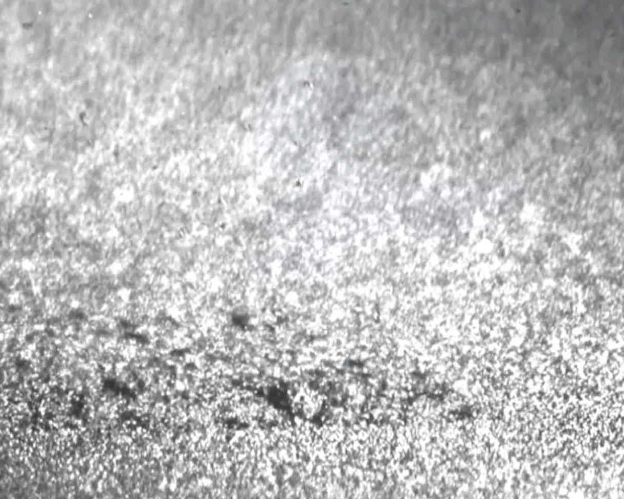 观测激光3D打印金属粉床熔池