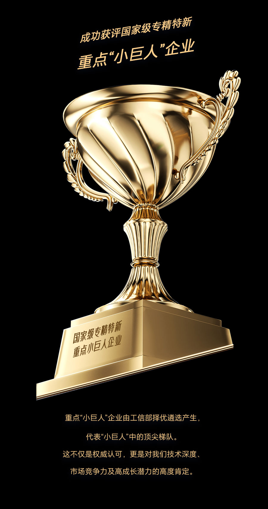 1767151376280928.jpg 重点小巨人.jpg