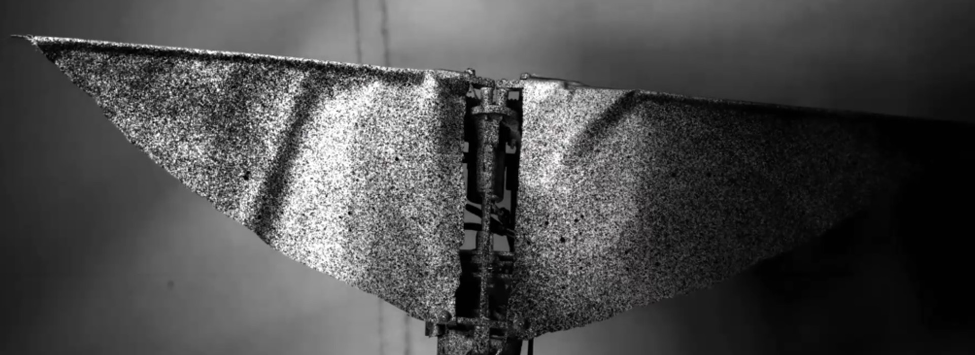 观测仿生飞蛾翅膀扇动时各部位的应力变化