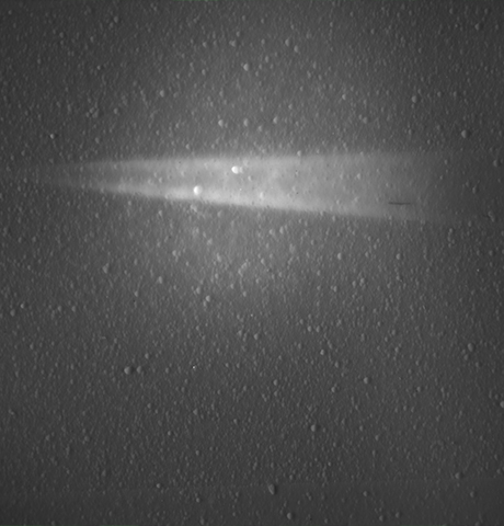 激光诱导荧光成像