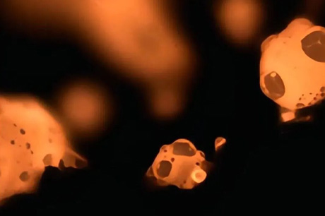 观测特殊材料燃烧