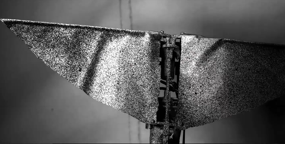 仿生飞蛾翅膀扇动时应力变化观测